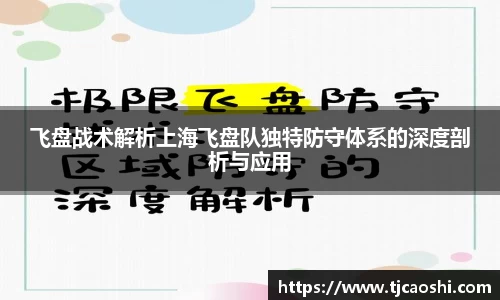 飞盘战术解析上海飞盘队独特防守体系的深度剖析与应用