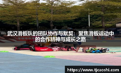 球信网下载