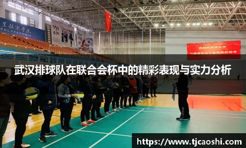 球信网