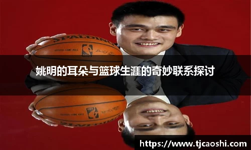 球信网下载