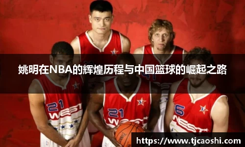 球信网下载