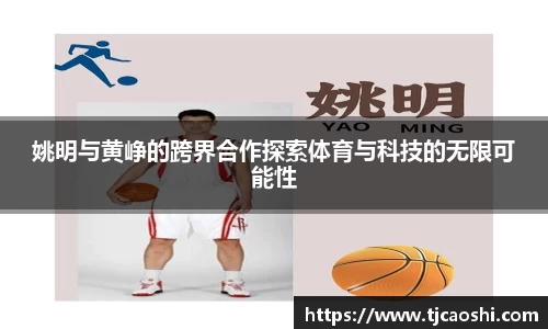 球信网下载