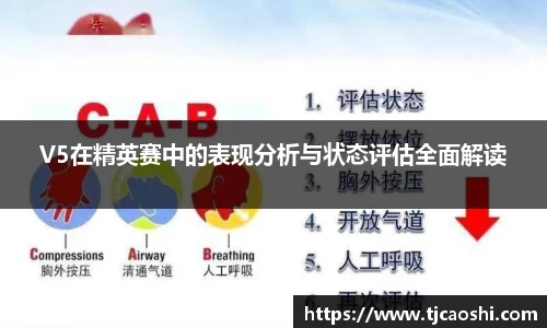 V5在精英赛中的表现分析与状态评估全面解读