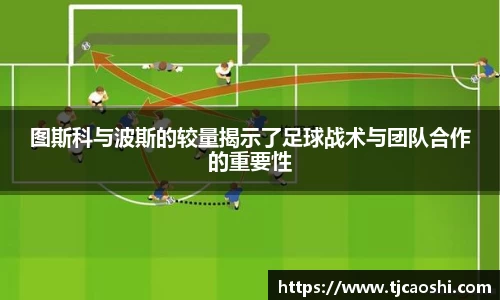 球信网