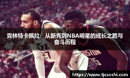 克林特卡佩拉：从新秀到NBA明星的成长之路与奋斗历程