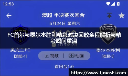 FC首尔与墨尔本胜利精彩对决回放全程解析与精彩瞬间重温
