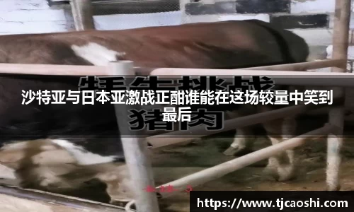 球信网平台