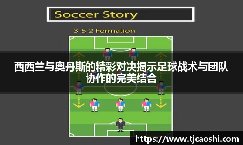 球信网