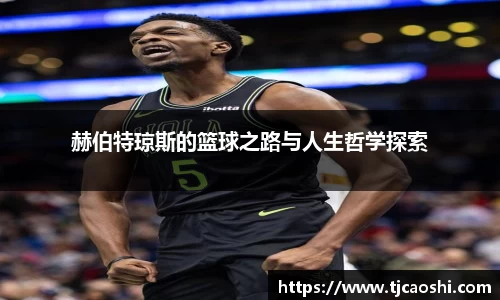 球信网平台